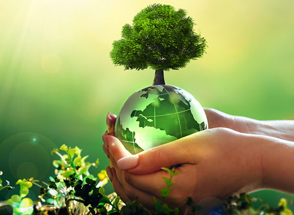 Image of a globe and tree held in two hands, natural plants around, green background