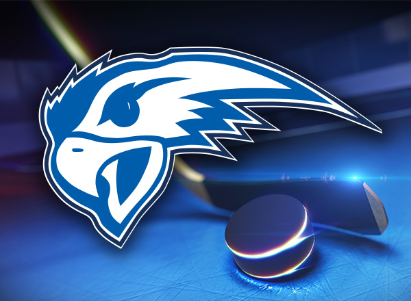 Image of Hawk logo, hockey stick, and puck. 