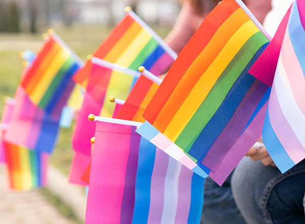 Different LGBTQ flags held by people.