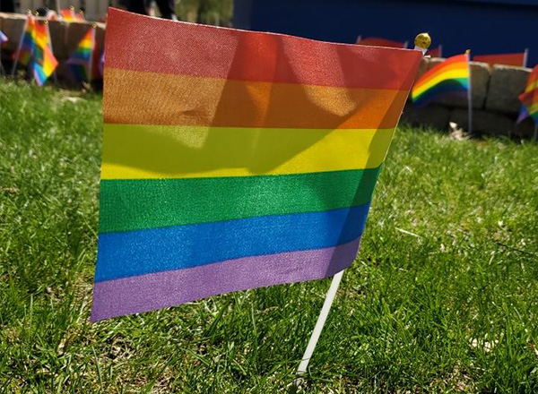 A small rainbow flag placed in the grass with other small rainbow flags in the background.