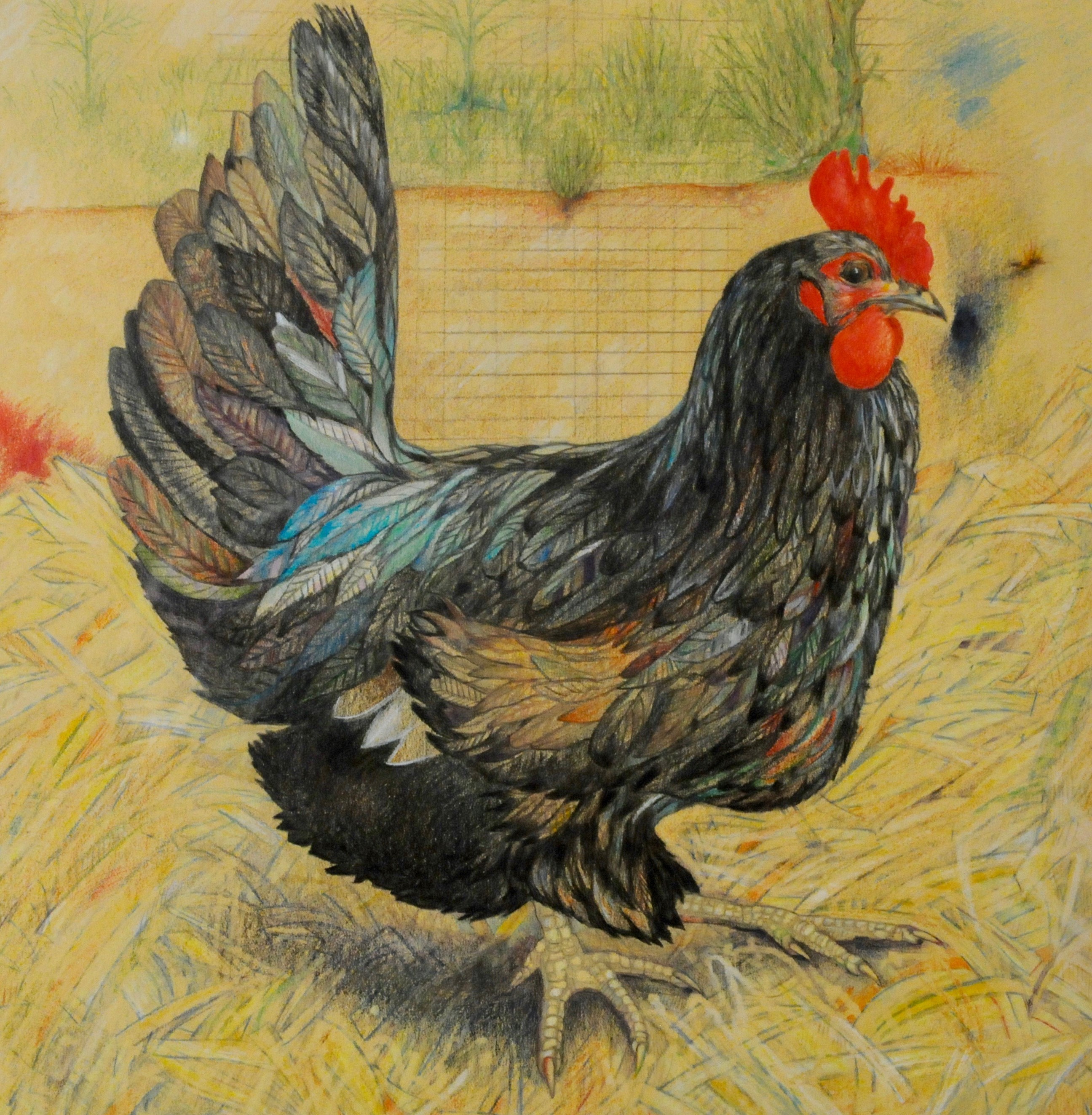 Helen Gaus artwork currently displayed at the Tucson Jewish Community Center Fine Art Gallery in an exhibit called "The Space We Inhabit."