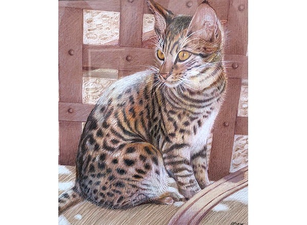 Helen Gaus artwork currently displayed at the Tucson Jewish Community Center Fine Art Gallery in an exhibit called "The Space We Inhabit."