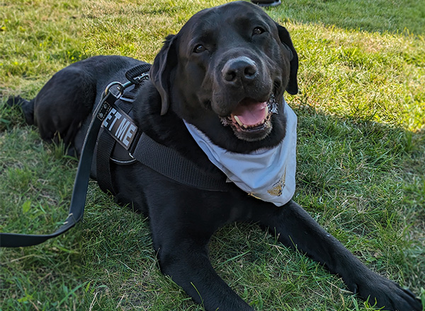 Tango the therapy dog is a very happy dog and was the life of the party.