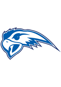 Hawk logo on white background