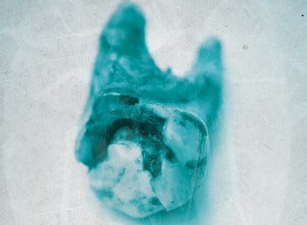 HFC Theatre Arts will present "Bug" in June. 