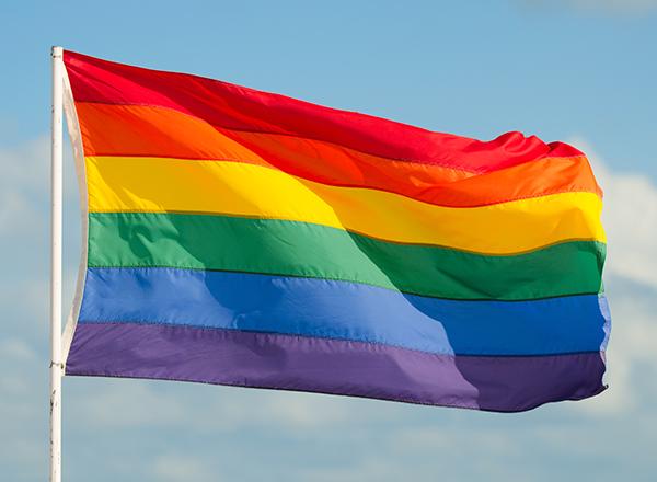 Rainbow flag
