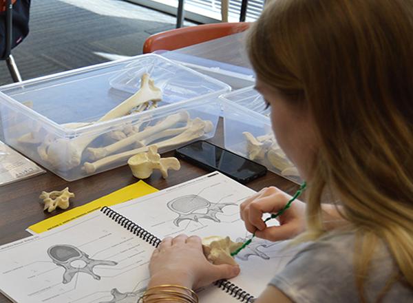 Photo of student studying in the Bone Room
