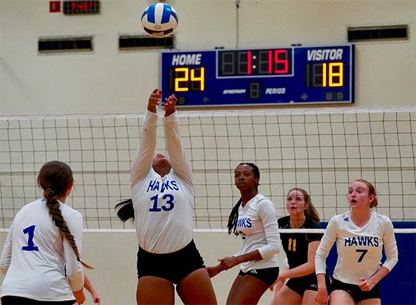 volleyball players in action