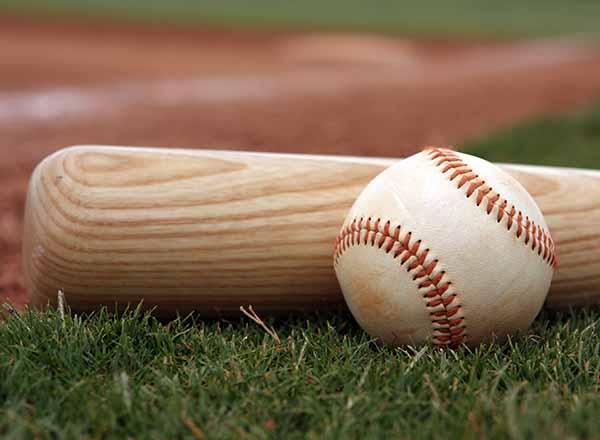 Baseball and bat laying on the grass.