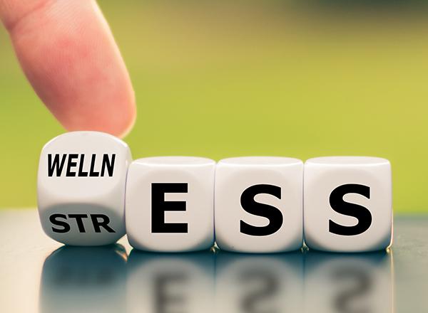 Dice spelling out stress and wellness, flipping from stress to wellness.