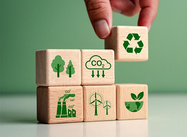 Sustainability Concept. sustainability, environmental conservation, target sustainability